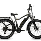 COLOSSEO | Accu LG 48V 14A 672Wh | 250W 25Km/h | Range up to 80 km